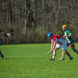 60570153_2146885815347412_8290315972623990784_n